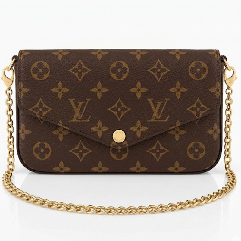 Louis Vuitton branded Hand Carry